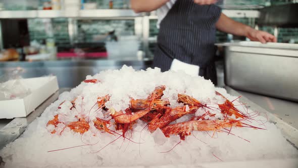 Modern Seafood Restaurant Fresh Fish and Shrimps on Ice Display Chef Choosing Tasty Ingredients alt