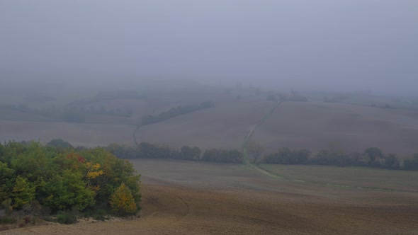 Very Dense Mist over Autumn Fields