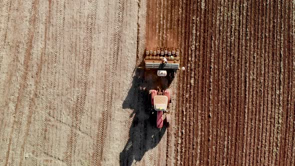 Aerial view shot of a farmer in tractor seeding, sowing agricultural crops at field alt