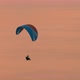 Flight of the at the Sunset - VideoHive Item for Sale