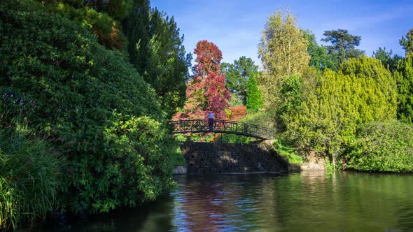 The Cascade Bridge, Lower Woman's Way Pond, Sheffield Park Gardens, Sussex, England