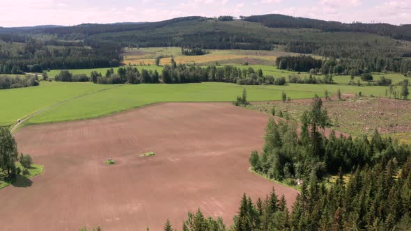 8 WEEK AERIAL TIMELAPSE of a farm crop field, transforming from brown to green alt