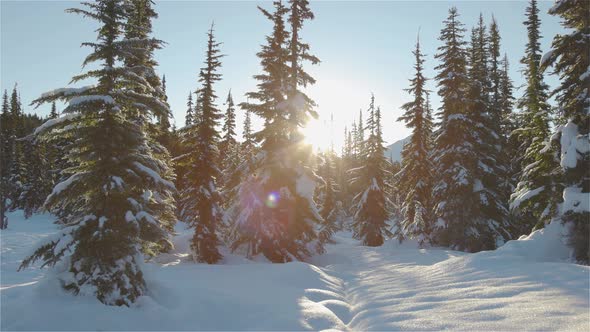 Beautiful Snow Covered Landscape in Canadian Mountain Nature alt