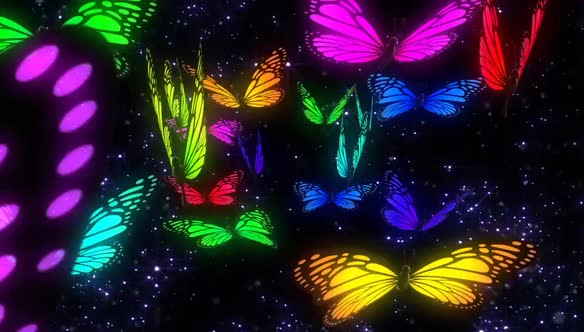 Fullcolor Butterfly