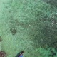Girl lying on the turquoise water - Drone footage from Koh Phi Phi, Thailand - VideoHive Item for Sale