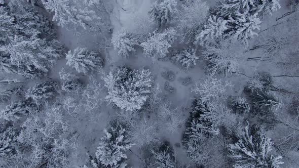 Beautiful Winter Aerial Footage of Ruskeala Mountain Park in Karelia in