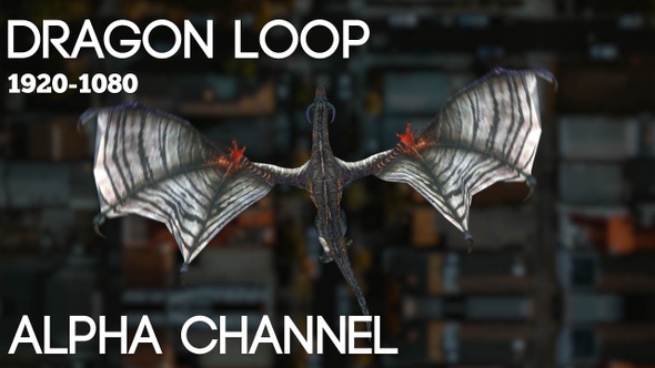 Dragon Fly Top View Alpha Loop