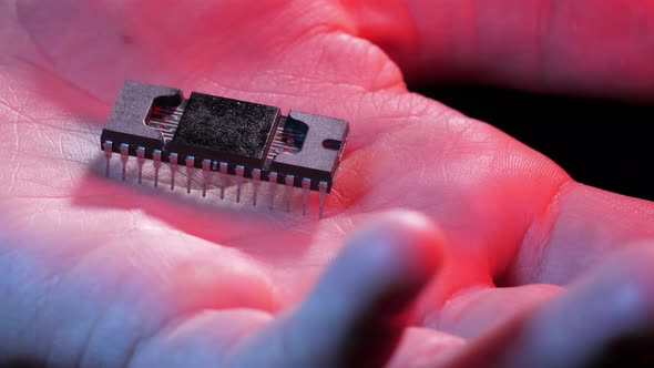 Chip on a Palm of a Man alt