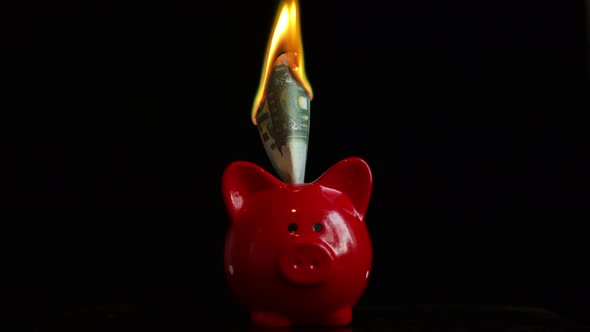 Hundred Euros Burn in Red Piggy Bank on a Black Background