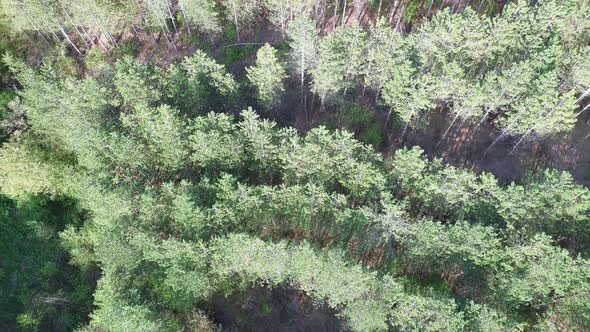 A View From a Height of the Meadows and Slopes of the Balkan Mountains Under Daylight in Bulgaria alt
