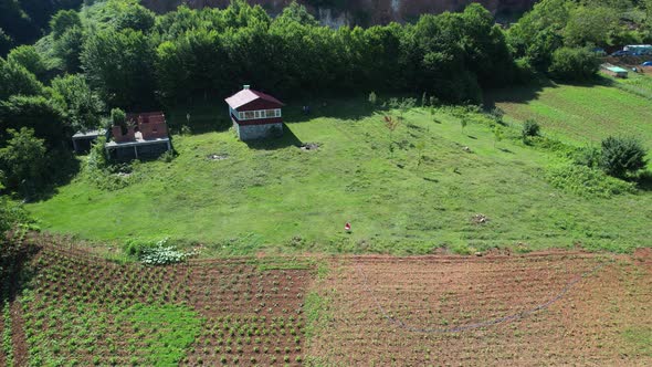 Aerial Shot Chalet alt