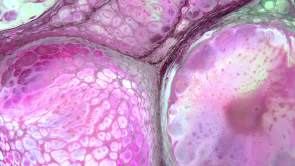 Abstract Colorful Invert Sacral Paint  Exploding Texture 904 alt