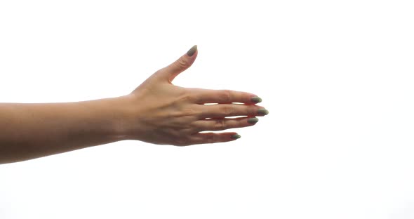 Closeup of Handshake of Man and Woman on White Background Isolated
