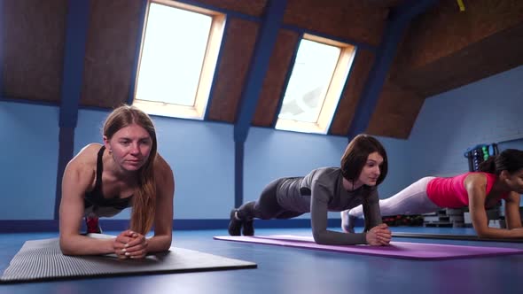 Multiethnic women standing in elbow plank in gym alt