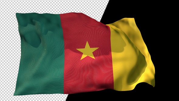 Flag Of Cameroon