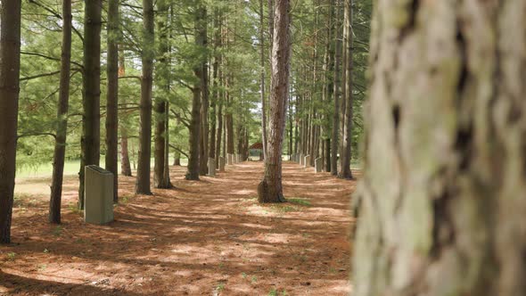 Catholic memorial forest garden with ceremonial meditation stones lined up in a row alt