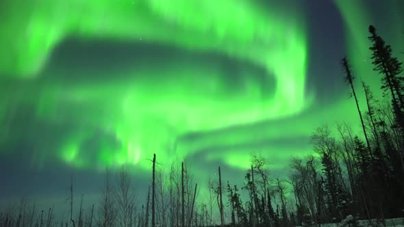 Aurora Borealis Lights Northern Alberta, Resembling To Alaska Lights alt