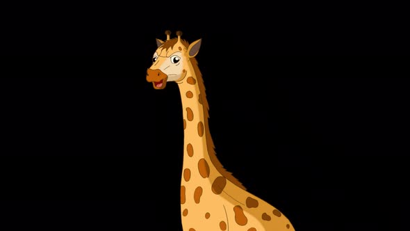 Little giraffe alpha matte close-up 4K