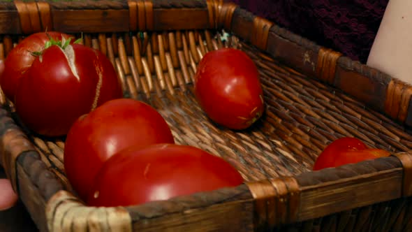 Red tomatoes at an organic sustainable farm alt
