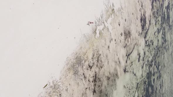Vertical Video of a Coastal Landscape in Zanzibar Tanzania Aerial View alt