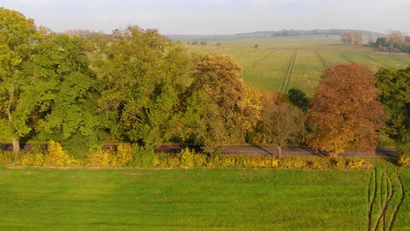 Autumn road with green fields and sky view from a drone flying along the tarmnac road alt