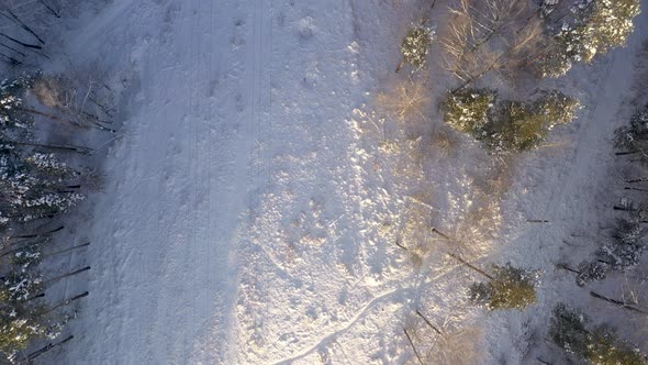 AERIAL: Top View Shot of Flying Above Power Electricity Cable Lines in Forest on Winter Day 