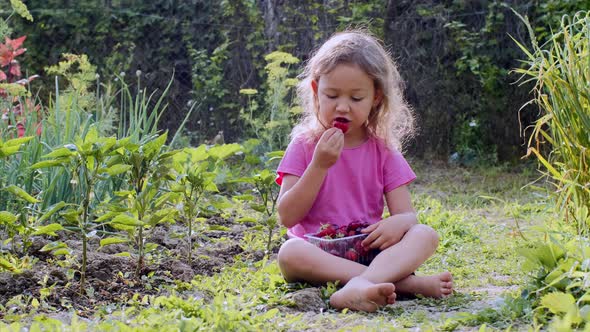Child Girl is Eating Strawberries Sitting on the Grass on the Farm