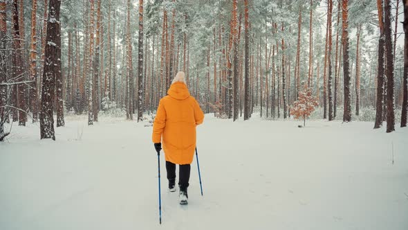 Adventure Hiking Tourism Sport Recreation. Fitness Active Camping Activity. Walker Nordic Walking. alt