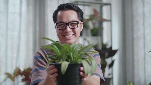 Close Up Of Smiling Asian Man Holding And Showing The Plant To Camera At Home alt