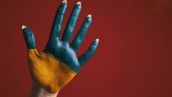 Palm of the Girl with the Flag of Ukraine Symbolizes Peace in Her Country alt