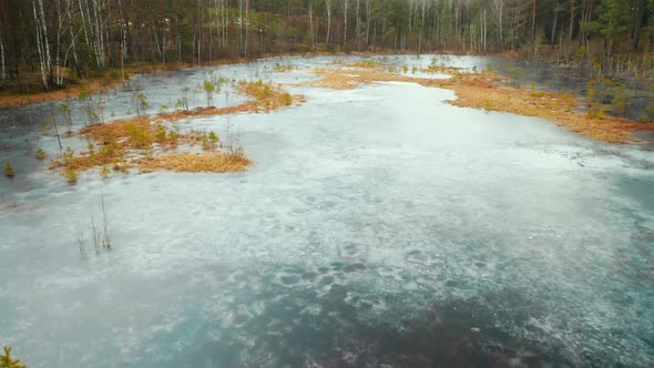 AERIAL: Frozen Swamp in Desolated Forest with Fauna
