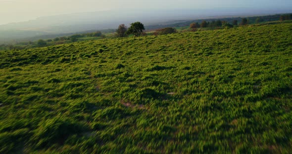 Aerial View of Beautiful Countryside at Sunset alt