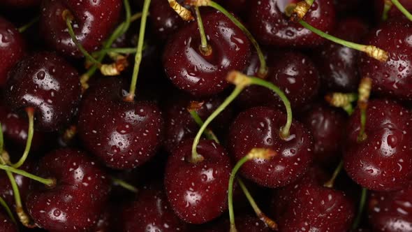 Fresh, Ripe, Juicy Cherries Background, Close Up Berry, Rotation with Zoom Out. Gastronomy Concept