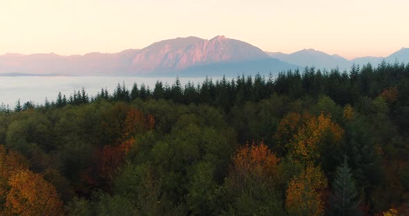 Mount Si Fast Motion Aerial Shot Above Autumn Forest Woodland In Snoqualmie Valley Washington alt