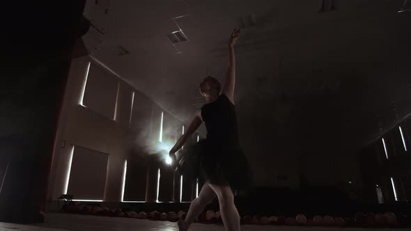 Slow Motion Of An Excellent Graceful Ballerina Dancing Modern Ballet alt