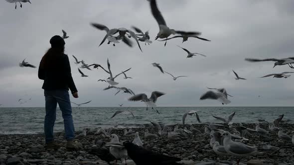 A Woman in a Hat and Jacket Feeds a Flock of Seagulls Flying By the Sea alt