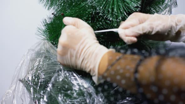 Unpacking Christmas Tree alt