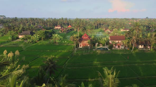 A Beautiful Flight Over a Tropical Landscape with Large Palm Trees Tourist Villas in Traditional alt