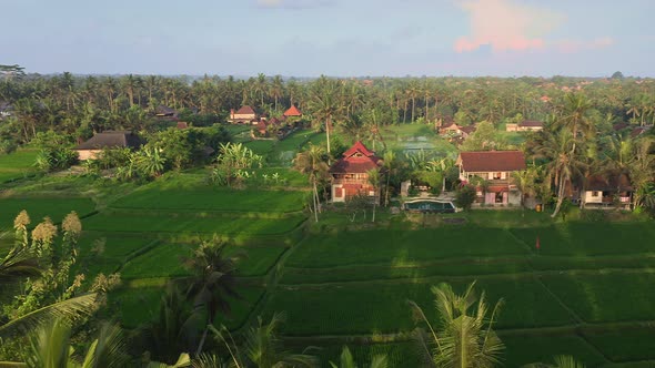 A Beautiful Flight Over a Tropical Landscape with Large Palm Trees Tourist Villas in Traditional