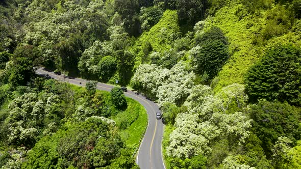 Road to Hana - Famous Beautiful Tourism Spot on Hawaiian Island of Maui - Aerial alt