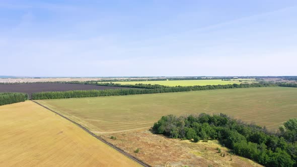 Aerial photography of agricultural fields in Russia. Beautiful views. Sunny day.