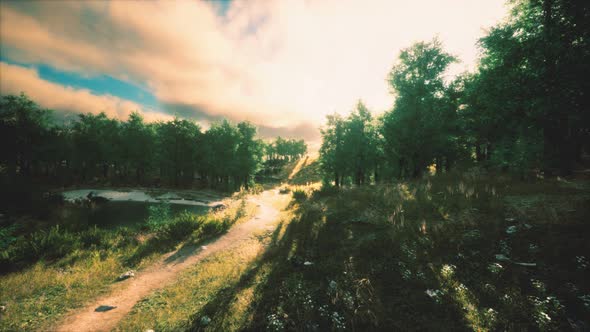 Heavy Rain Clouds Over the Field at the Sunset alt