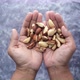 Top View of Brazilian Nut on Hand - VideoHive Item for Sale