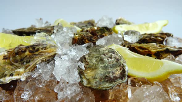 Oysters on ice on a rotating board. alt