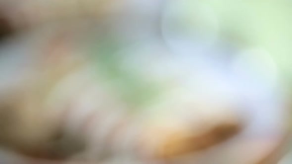 Close up of dinner plate with Chicken enchiladas garnished with green onions and sour cream. alt