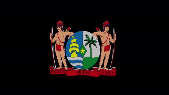 Coat Of Arms Of Suriname With Alpha Channel  - 4K alt