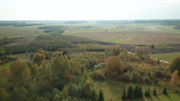 AERIAL: Romantic Landscape of Forest in Europe During Autumn Season
