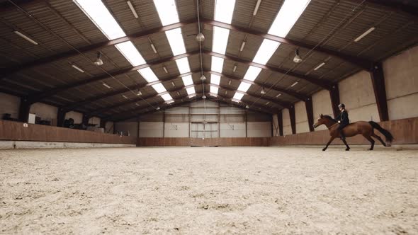 Young Woman Riding Horse Bareback In Paddock alt