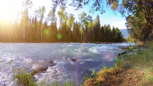 Meadow at Mountain River Bank. Landscape with Green Grass, Pine Trees and Sun Rays. Movement alt