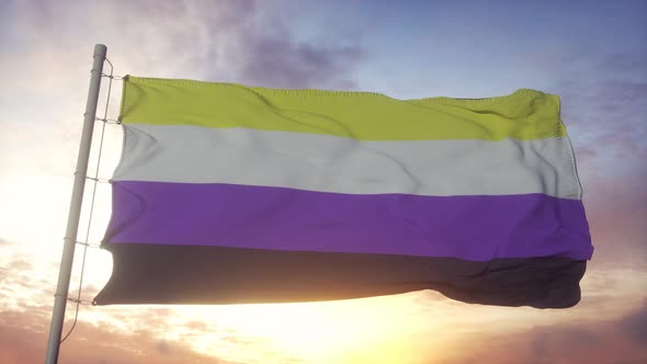 Nonbinary Pride Flag Waving in the Wind Sky and Sun Background alt